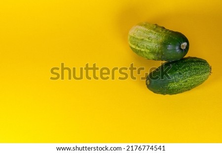 two green ripe cucumbers stacked on top of each other. cucumbers on a yellow background

