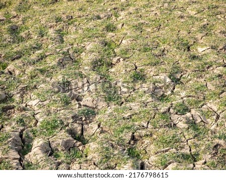 Climate change image of a reservoir with a dry tree branch. Concept of drought 