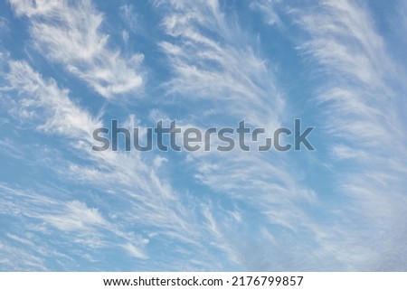 Clear blue sky after the storm. Glowing cirrus clouds. Soft sunset light. Panoramic image, texture, background, graphic resources, design, copy space. Meteorology, heaven, hope, peace concept