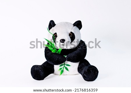 Panda bear toy isolated on white background. Teddy bear for children. Close up