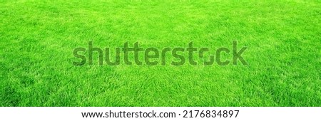 Horizontal banner with green grass on lawn. Stadium grass. Trimmed lawn grass Royalty-Free Stock Photo #2176834897