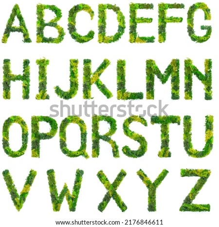 Stabilized Lichen or moss font. Capital letters made from green moss or grass.  Royalty-Free Stock Photo #2176846611