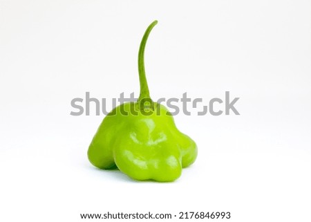 Crown of Bishop, or Pimenta Cambuci, Capsicum baccatum, Brazilian sweet pepper, isolated on white background.