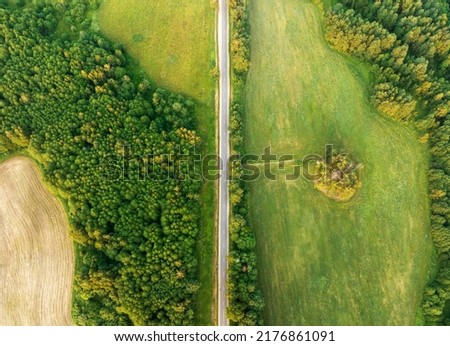 Highway through forest with pine trees and lakes, aerial view. Road with forrest trees and car. Forest road for transpotrs. Aerial above view of freeway. Asphalt road, top view. Royalty-Free Stock Photo #2176861091