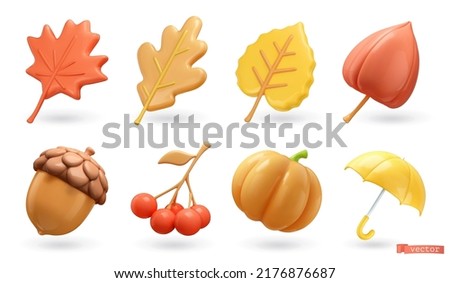 Autumn. Maple leaf, oak, poplar, physalis, acorn, rowan, pumpkin, umbrella. 3d vector icon set Royalty-Free Stock Photo #2176876687