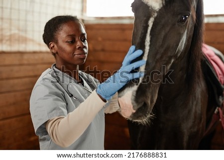 Warm toned portrait of female veterinarian taking care of horse in stables and smiling