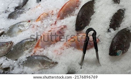 fish in a fresh food store