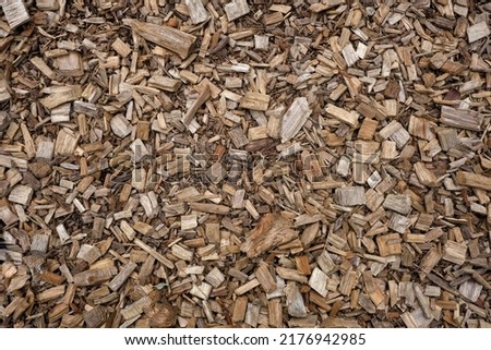 Wooden splinters closeup. Decorative wood chips texture. Natural material pattern of yellow wooden pieces of tree bark. Full filled frame picture. View from above. Sunny day with shadows.