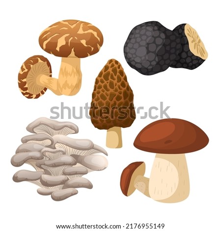 mushroom retro set cartoon vector. groovy magic forest food, hippie fungus, autumn mushroom retro. isolated color illustration
