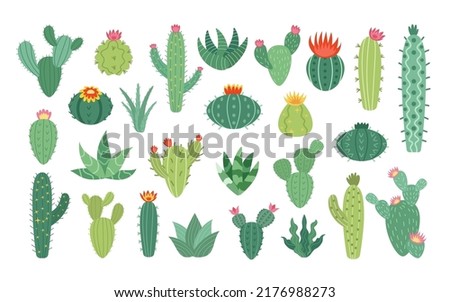 Cactus flowers set. Arizona icons of blossom desert cacti, cute mexican plants, prickly succulents and ficuses. Exotic greenery and houseplants. Vector isolated botanical illustration Royalty-Free Stock Photo #2176988273