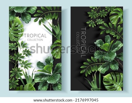 Vector tropical frames with green leaves on black background. Luxury exotic botanical design for cosmetics, wedding invitation, summer banner, spa, perfume, beauty, travel, packaging design Royalty-Free Stock Photo #2176997045