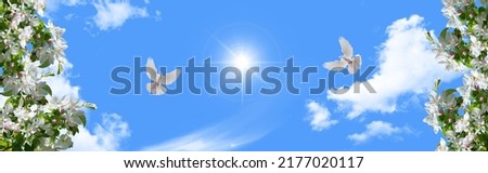 white doves flying in sunny beautiful blue sky and blooming tree branches. horizontal wide sky bottom up view. stretch ceiling sky pattern.