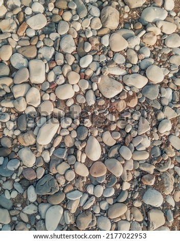 Seashore, pebble beach with large boulders. Natural background, stone organic texture. Rocky shore in grey beige color palette. Mediterranean Sea coast, Cyprus.