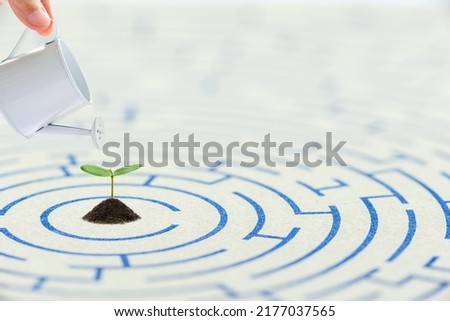 Nature versus nurture : Hand pours water from a watering can to a green sapling, sprout on a maze puzzle, depicting the balance between two factors which determine the fate : genetics and environment. Royalty-Free Stock Photo #2177037565