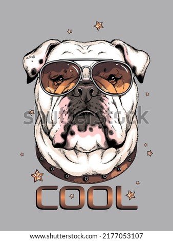 Cute english bulldog portrait. Dog in sunglasses. Vector illustration. Stylish image for printing on any surface