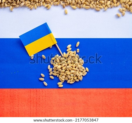 grain wheat and spikelets on a blue background. Ukrainian grain and problems of sea blockade of ports.	
 Royalty-Free Stock Photo #2177053847