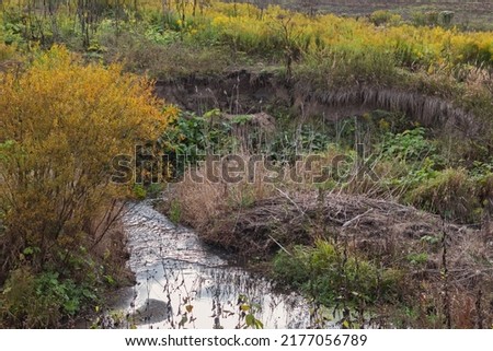 Real ravine and picturesque bushes on  autumn day for good mood