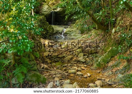 Otonashino Waterfall in fresh green