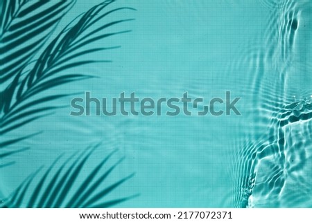 Shadow of a palm tree on a Blue water background