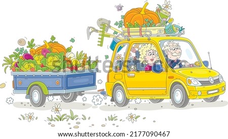 Happy grandpa and grandma with a funny cat, grown vegetables and garden instruments returning from their summer cottage in a car with a small trailer, vector cartoon illustration