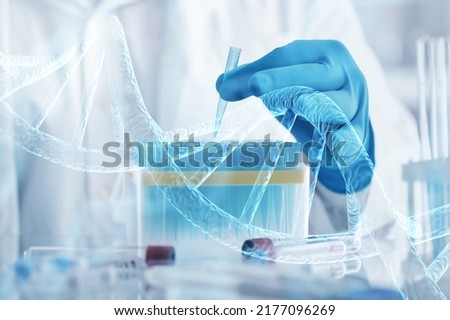 Scientist with virtual screen with data scientific at genetic engineering lab. Biomedical engineer genetic working with microtubes in biotechincal laboratory Royalty-Free Stock Photo #2177096269