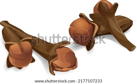 Dried cloves. 3d realistic vector. spice clove, highlighted on a white background spice clove Royalty-Free Stock Photo #2177107233