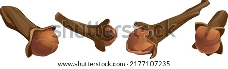 Dried cloves. 3d realistic vector. spice clove, highlighted on a white background spice clove Royalty-Free Stock Photo #2177107235