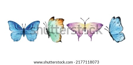 Colorful butterflies watercolor isolated on white background. Green, yellow, blue and pink butterfly. Spring animal vector illustration