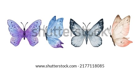 Colorful butterflies watercolor isolated on white background. Purple, blue, gray or silver and cream pink butterfly. Spring animal vector illustration