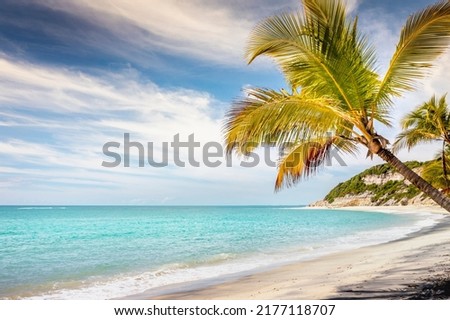 Secluded idyllic sand beach in Porto Seguro praia do espelho beach, Bahia, Brazil Royalty-Free Stock Photo #2177118707