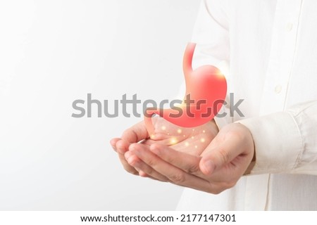 Healthy stomach organ hologram on human hands. Concept of gastric cancer screening, stomach transplant, digestive tract problem and stomach disease treatment. Royalty-Free Stock Photo #2177147301