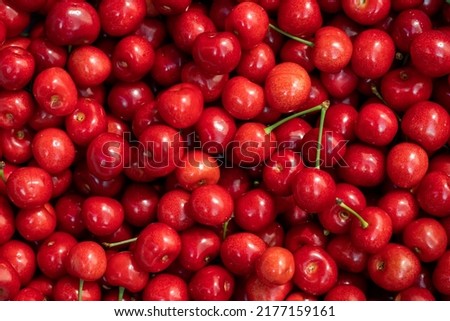 Macro photo fresh cherry. Stock photo background sweet cherry.
