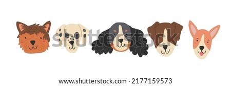 Popular dog breeds faces on white background. Domestic dogs collection. Cute dog icons