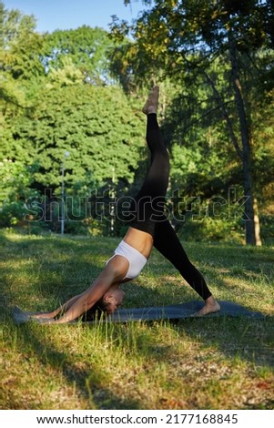 Shot of a beautiful young woman exercising  agains the green trees. Practicing outdoor warrior yoga pose in the morning park
