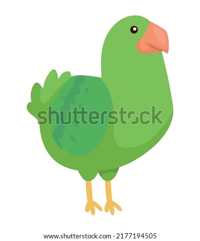 cute parrot animal wild character