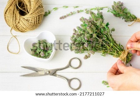 Top view of a womans hands tying thyme herb sprigs into a bundle using jute rope in the kitchen. Harvesting and drying fragrant herbs in summer, natural medicine, fragrant spice, culinary ingredient. Royalty-Free Stock Photo #2177211027