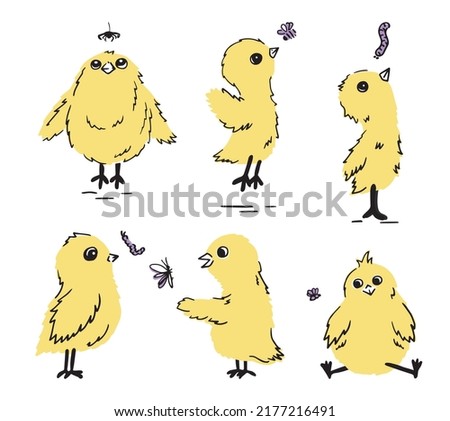 Cute chicks making friends with insects hand drawn set. Collection of vector illustrations for children's design elements.