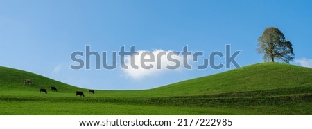 Minimalistic landscape with herd of cows graze in a pasture in the Alps on a sunny day, Switzerland Royalty-Free Stock Photo #2177222985