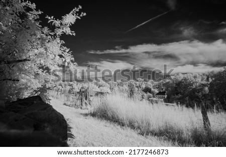 infrared photography of rural landscape , photo was taken with infrared-pass filter