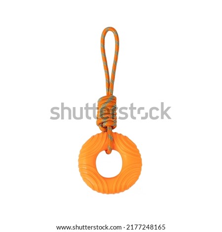 orange ring chew rubber dog toy photo on a white background. for advertising and banners