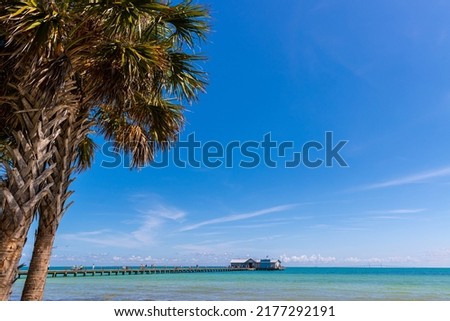 Beach Park With Amelia Island Pier in The Distance, Amelia Island, Florida, USA