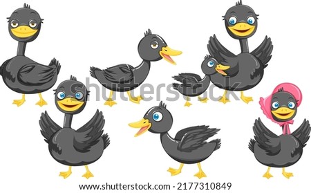 Set of different mallard duck cartoon characters illustration