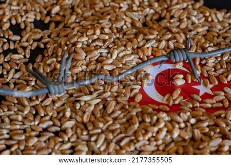 Flag of turkey on Wheat  grain. Concept of growing Wheat in turkey, turkey grain crisis, global hunger crisis concept due to war