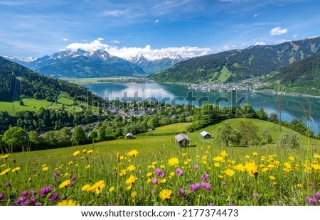 Idyllic summer landscape with a flower meadow, snowy mountains and a blue lake, Zell am See, Pinzgau, Salzburger Land, Austria, Europe Royalty-Free Stock Photo #2177374473