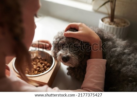 Girl patting and feeding her small dog on kitchen counter Royalty-Free Stock Photo #2177375427