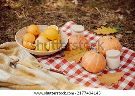 Autumn picnic in fall forest. Oranges, pumpkins, candles on picnic mat in pine forest