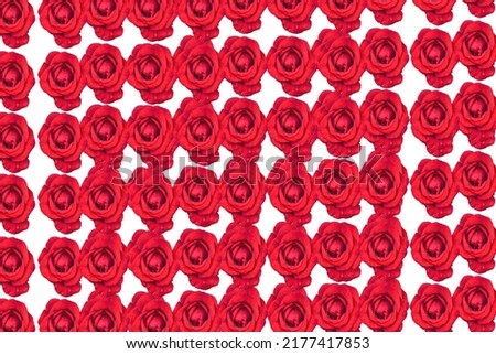 A beautiful red rose background