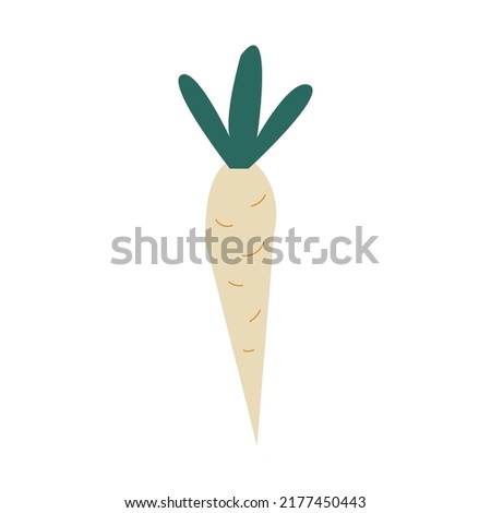 Daikon radish with green stem isolated vegetable root. Vector illustration. Royalty-Free Stock Photo #2177450443