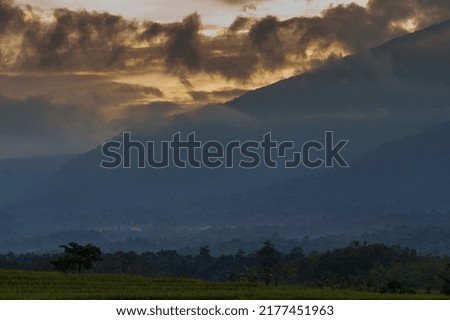 foggy atmosphere in the rice fields and mountains in the morning. Indonesian natural scenery in the morning