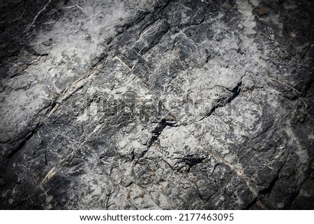 Natural stone with real veins, marble, granite, quartz background and free space